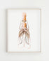 light wood frame vintage squid print wall art